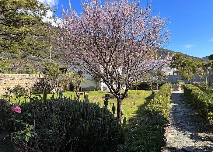 Petite Le Clan Tatil Evi Ajaccio (Corsica)