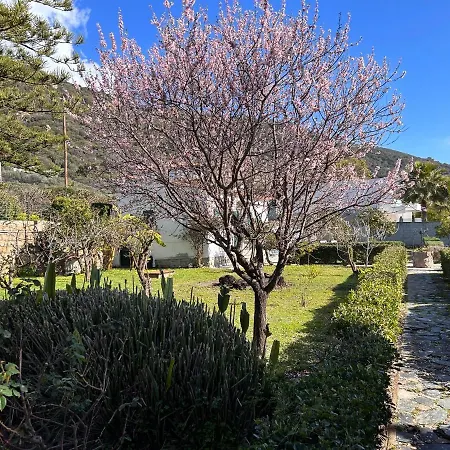 Petite Le Clan Ferienhaus Ajaccio (Corsica)