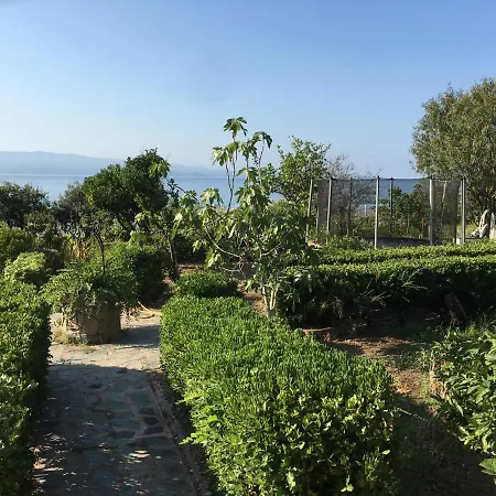 Petite Le Clan Ajaccio (Corsica)