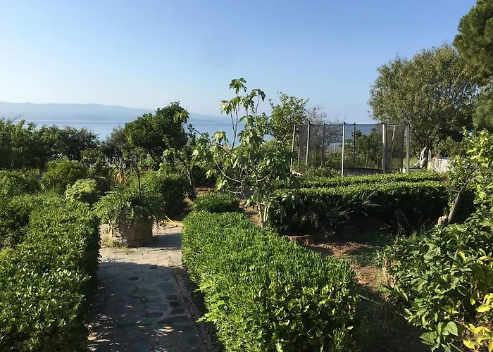 Petite Le Clan Ajaccio (Corsica)